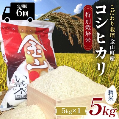 【令和7年産】定期6回 金山町産 特別栽培米 コシヒカリ 精米 5kg F4B-0627
