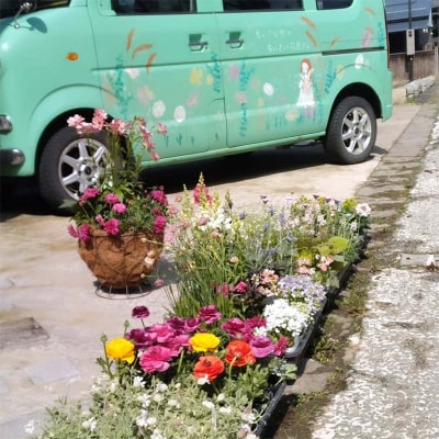 ドライフラワーのお正月しめ縄飾り【稲藁素材】〈2Wayタイプ〉注連縄 標縄 F4B-0728