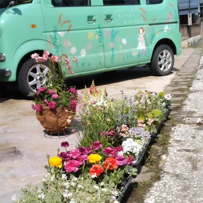 ドライフラワーのお正月しめ縄飾り【サテン素材】〈2Wayタイプ〉注連縄 標縄 F4B-0729