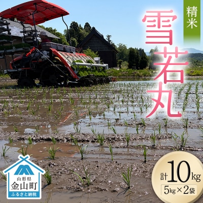 <先行予約>令和8年産【精米】雪若丸10kg(5kg×2)(マイスター監修) F4B-0770