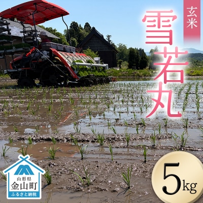 <先行予約>令和8年産【玄米】雪若丸5kg(マイスター監修) F4B-0771
