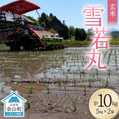 <先行予約>令和8年産【玄米】雪若丸10kg(5kg×2)(マイスター監修) F4B-0772