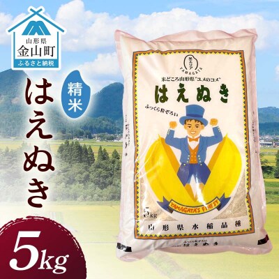 令和7年産 金山産米 はえぬき 【精米】5kg F4B-0785