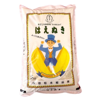 令和7年産《定期便》金山産米 はえぬき【精米】5kg×3ヶ月 計15kg F4B-0786