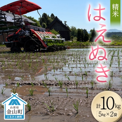 <先行予約>令和8年産【精米】はえぬき10kg(5kg×2)(マイスター監修) 米 F4B-0813