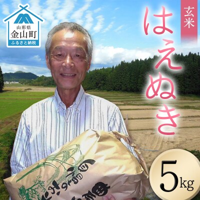 <先行予約>令和8年産【玄米】はえぬき5kg (マイスター監修) 米 お米 白米 F4B-0814