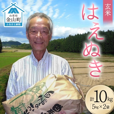 <先行予約>令和8年産【玄米】はえぬき10kg(5kg×2)(マイスター監修) 米 F4B-0815