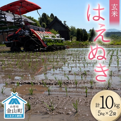 <先行予約>令和8年産【玄米】はえぬき10kg(5kg×2)(マイスター監修) 米 F4B-0815
