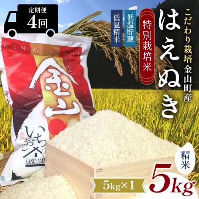 【令和7年産】定期4回 金山町産 特別栽培米 はえぬき 精米 5kg×4 20kg F4B-0837