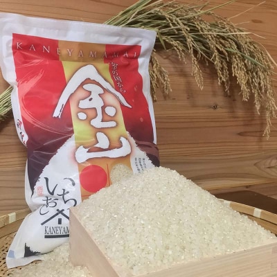 【令和7年産】定期4回 金山町産 特別栽培米 はえぬき 精米 5kg×4 20kg F4B-0837