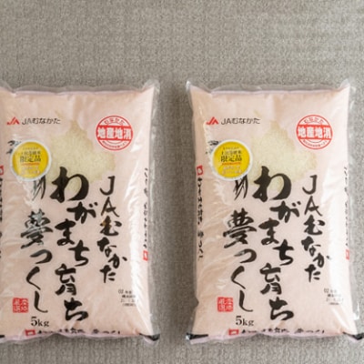 果物屋さんの米　夢つくし10kg(久留米市)