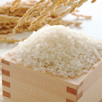 果物屋さんの米　夢つくし10kg(久留米市)