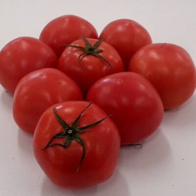 久留米産季節のトマト約2kg(8-12玉)