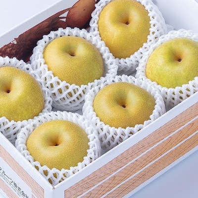 久留米産季節の梨　約2kg(3-7玉)