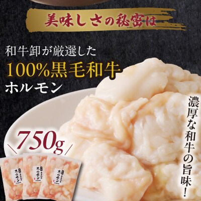 黒毛和牛こだわりもつ鍋セット