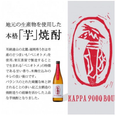 紅乙女酒造の焼酎「河童九千坊」麦・芋・米　3種セット