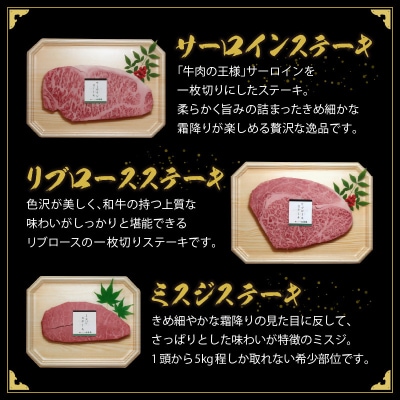 久留米市　秘伝・焼肉のたれ付　九州産黒毛和牛ステーキ食べ比べセット