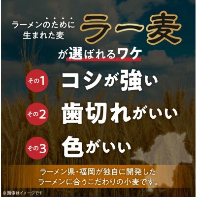 ラー麦麺 塩ラーメン 15食