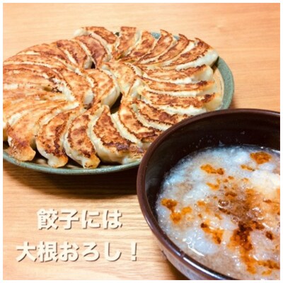 【2022年5月上旬発送】にんにく餃子4袋セット