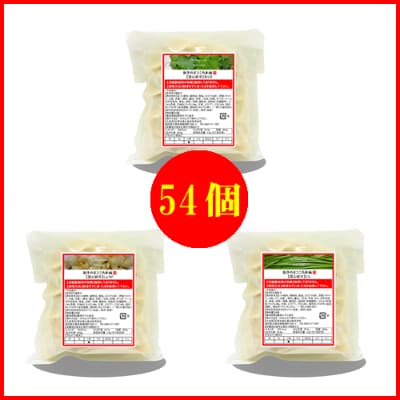 【2022年2月下旬発送】にんにく0%餃子3袋セット