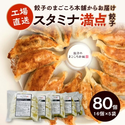 スタミナ満点ぎょうざ5袋セット
