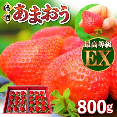 特選あまおう　800g