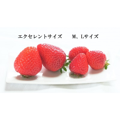 特選あまおう　800g