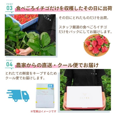 特選あまおう　800g