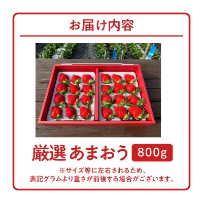 特選あまおう　800g
