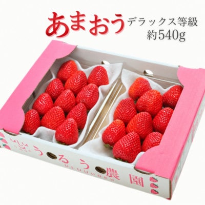 うるう農園のあまおう デラックス等級約250～270g×2パック(約540g)