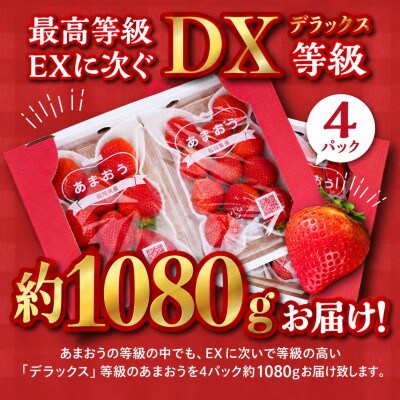うるう農園のあまおう デラックス等級約250～270g×4パック(約1080g)