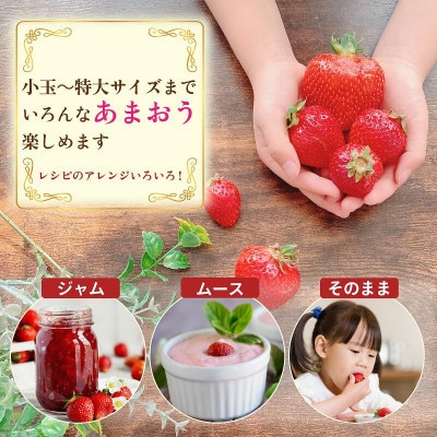 うるう農園のあまおうM～Gサイズ 4パック(1140g) | 福岡県久留米