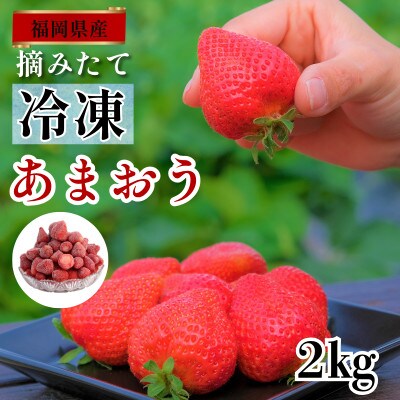 うるう農園の冷凍あまおう2kg