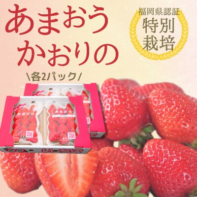 あまおう&かおりの【人気品種】食べ比べ 各2パック(計1140g)