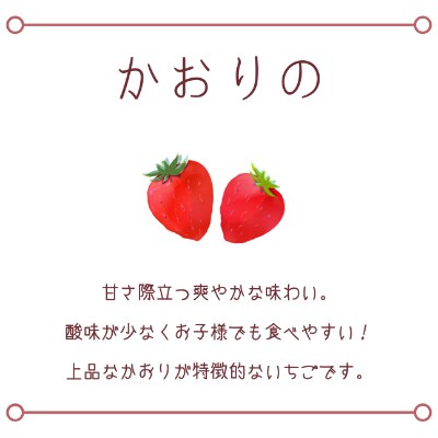 あまおう&かおりの【人気品種】食べ比べ 各2パック(計1140g)