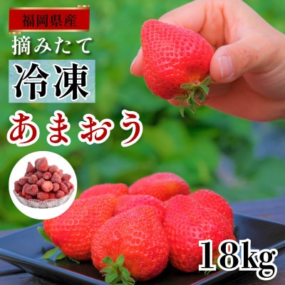 うるう農園の冷凍あまおう 18kg (久留米市)