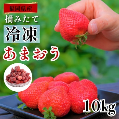 うるう農園の冷凍あまおう10kg (久留米市)