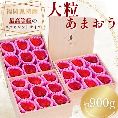 【2026年11月～2027年4月頃発送予定】あまおう至極EX等級赤 約900g(重箱3段)久留米市