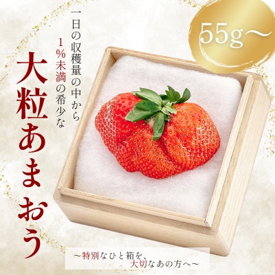 【2026年11月中旬～2027年4月上旬頃発送予定】あまおう「極」大粒 約55g～ (久留米市)