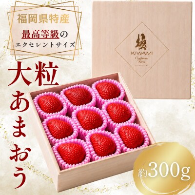 【2026年11月～2027年4月頃発送予定】あまおう至福EX等級赤 約300g(重箱1段)久留米市