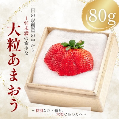 【2026年11月中旬～2027年4月上旬頃発送予定】あまおう「極」大粒 約80g (久留米市)