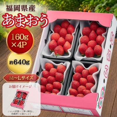 【2026年11月中旬～】うるう農園のあまおう(MLサイズ) 約160g×4パック (久留米市)