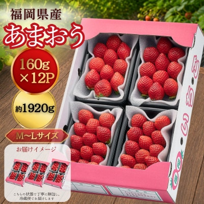 【2026年11月中旬～】うるう農園のあまおう(MLサイズ)約160g×12パック (久留米市)