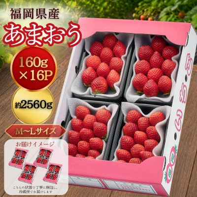 【2026年11月中旬～】うるう農園のあまおう(MLサイズ) 約160g×16パック (久留米市)