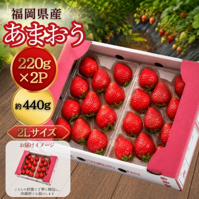 【2026年11月中旬～】うるう農園のあまおう(2Lサイズ) 約220g×2パック (久留米市)