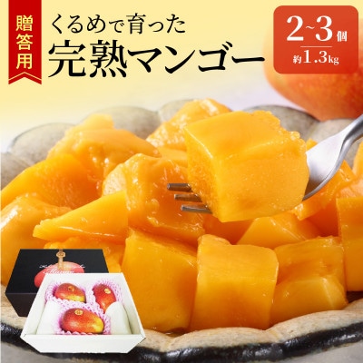 【2025年6月下旬から順次発送開始】くるめで育った完熟マンゴー　約1.3kg(2～3玉)