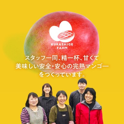 【2025年6月下旬から順次発送開始】くるめで育った完熟マンゴー　約1.3kg(2～3玉)