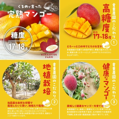 【2025年6月下旬から順次発送開始】くるめで育った完熟マンゴー　約1.8kg(3～5個)