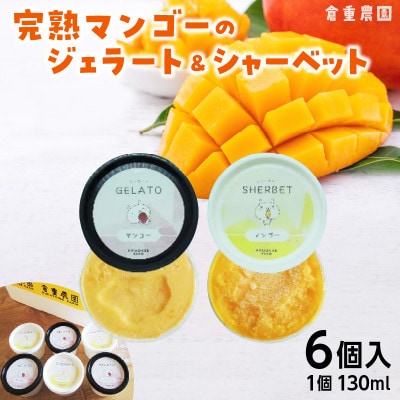 【2025年7月下旬発送開始】完熟マンゴーのジェラート&シャーベット130ml×6個[Dw012]