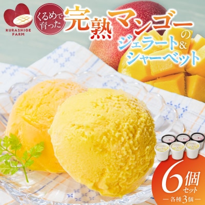 【2026年7月下旬発送開始】完熟マンゴーのジェラート&シャーベット130ml×6個[Dw012]